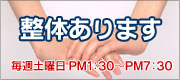 整体あります。